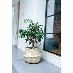 35cm Seagrass Chevron Lined Planter Basket 6 35cm Seagrass Chevron Lined Planter Basket -Plants outlet store PP685 L1 0aa7
