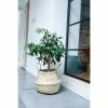 35cm Seagrass Chevron Lined Planter Basket 2 35cm Seagrass Chevron Lined Planter Basket -Plants outlet store PP685 L2 55ce