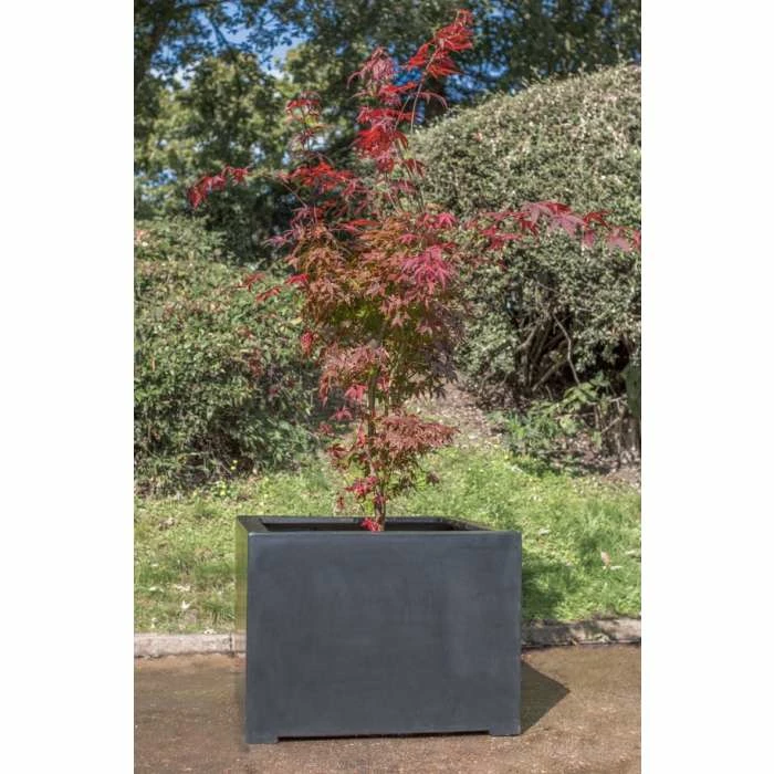 85cm Titanic Black Polystone Cube Planter 4 85cm Titanic Black Polystone Cube Planter - Image 2