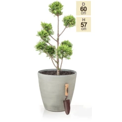 H57cm Cortina Stone Cone Planter - By Primrose™ -Plants outlet store PP7773 main image cfc9