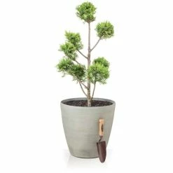 H41cm Cortina Stone Cone Planter - By Primrose™ 10 H41cm Cortina Stone Cone Planter - By Primrose™ -Plants outlet store PP7776 add image 3 b20c