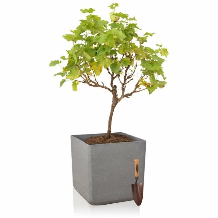 H48cm Volcanic Grey Square Planter - By Primrose™ 4 H48cm Volcanic Grey Square Planter - By Primrose™ - Image 2
