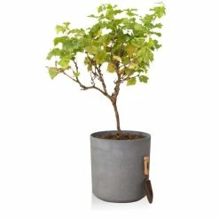H43cm Volcanic Grey Cylinder Planter - By Primrose™ 11 H43cm Volcanic Grey Cylinder Planter - By Primrose™ -Plants outlet store PP7784 add image 3 b018