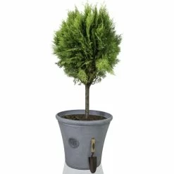 H50cm Continental Grey Round Tuscan Planter - By Primrose™ -Plants outlet store PP7790 add image 2 2acb