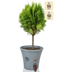 H50cm Continental Grey Round Tuscan Planter - By Primrose™ -Plants outlet store PP7790 main image 54ed