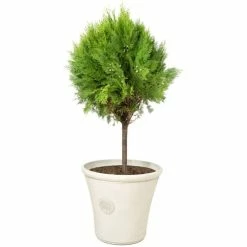H44.5cm Smokey Cream Round Tuscan Planter - By Primrose™ -Plants outlet store PP7793 add image 2 b841