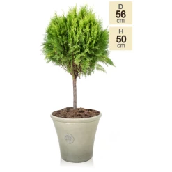 H49cm River Mist Round Tuscan Planter - By Primrose™ 9 H49cm River Mist Round Tuscan Planter - By Primrose™ -Plants outlet store PP7796 main image e106