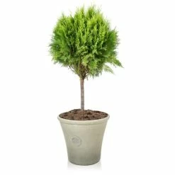 H44.5cm River Mist Round Tuscan Planter - By Primrose™ 8 H44.5cm River Mist Round Tuscan Planter - By Primrose™ -Plants outlet store PP7797 add image 2 3c06
