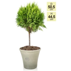 H44.5cm River Mist Round Tuscan Planter - By Primrose™ 9 H44.5cm River Mist Round Tuscan Planter - By Primrose™ -Plants outlet store PP7797 main image 4a93