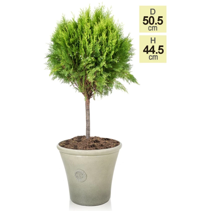 H44.5cm River Mist Round Tuscan Planter - By Primrose™ 6 H44.5cm River Mist Round Tuscan Planter - By Primrose™ - Image 4