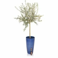 H75cm Pacific Blue Cylinder Planter - By Primrose™ -Plants outlet store PP7800 add image 2 a895