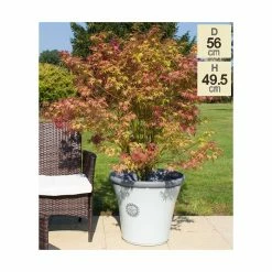 56cm Tuscan Round Planter In White With Grey 23 56cm Tuscan Round Planter In White With Grey -Plants outlet store PP7854 add image 9 74f2