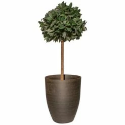 53cm Black Cortina Stone Cone Planter - By Primrose™ 7 53cm Black Cortina Stone Cone Planter - By Primrose™ -Plants outlet store PP7865 add image 1 7206