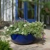 55cm Royal Blue Glaze Effect Bowl Planter - By Primrose™ -Plants outlet store PP7878 main image c429