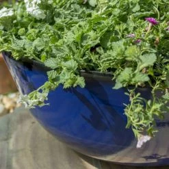 55cm Royal Blue Glaze Effect Bowl Planter - By Primrose™ -Plants outlet store PP7878 rollover image af49