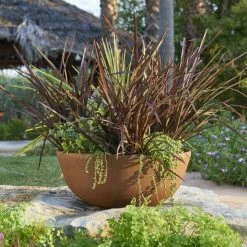 55cm Aged Rust Effect Bowl Planter - By Primrose™ -Plants outlet store PP7879 add image 4 8806