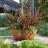 55cm Aged Rust Effect Bowl Planter - By Primrose™ -Plants outlet store PP7879 main image ba23