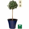 50cm Royal Blue Glaze Effect Planter - By Primrose™ -Plants outlet store PP7881 main image 0e85