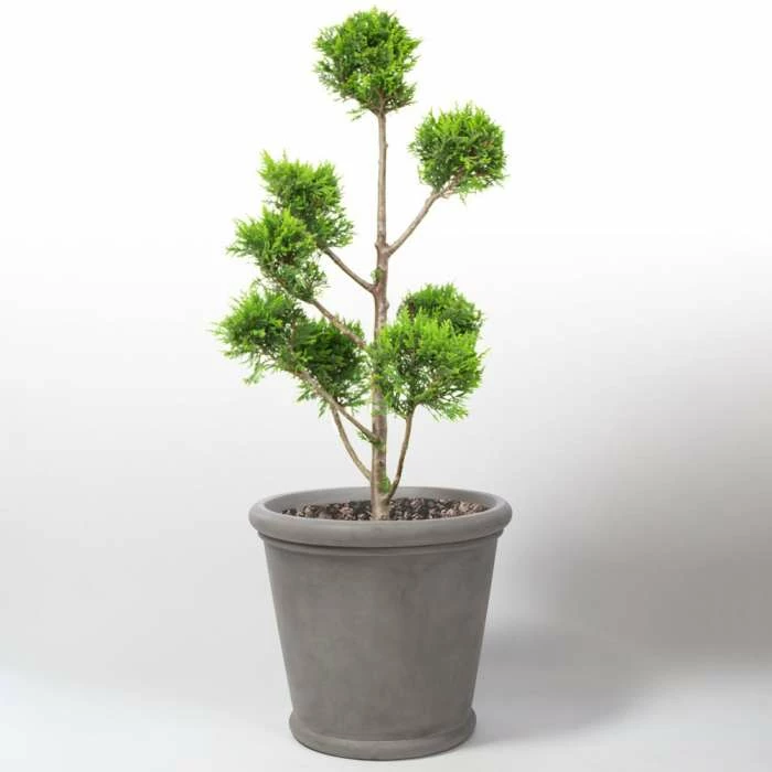 60cm Classic Rim Concrete Round Planter - Large 4 60cm Classic Rim Concrete Round Planter - Large - Image 2