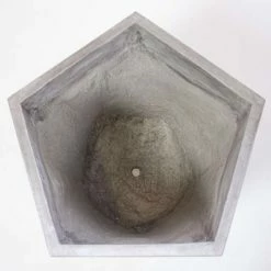 Plants outlet store -Plants outlet store PP7957 rollover image 960d