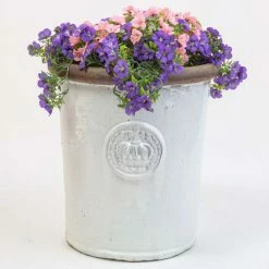 50cm White Rimmed Provence Detail Tall Planter - Large -Plants outlet store PP7966 add image 2 bc34