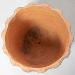 50cm Terracotta Scalloped Finish Tall Planter - Medium -Plants outlet store PP7996 add image 3 a99a