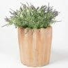 70cm Terracotta Scalloped Finish Tall Planter - Large -Plants outlet store PP7997 add image 1 ec56