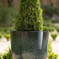 53cm Tall Round Planter In Dark Green -Plants outlet store PP80BLKL 1 0170