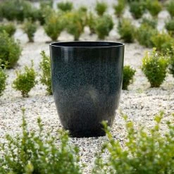 53cm Tall Round Planter In Dark Green -Plants outlet store PP80BLKL 2 dedd