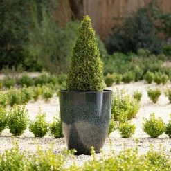 53cm Tall Round Planter In Dark Green -Plants outlet store PP80BLKL 51e5