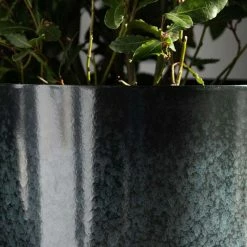 43cm Tall Round Planter In Dark Green -Plants outlet store PP80BLKM 1 21f2