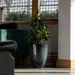 43cm Tall Round Planter In Dark Green -Plants outlet store PP80BLKM indoor b5c3