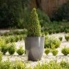 53cm Tall Round Planter In Grey -Plants outlet store PP80GRYL d085