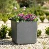 35cm Cube Planter In Dark Grey -Plants outlet store PP81GRYM PP81GRYS 9eee