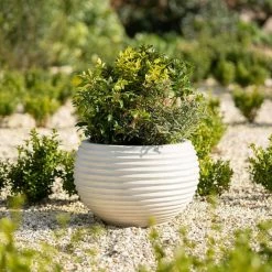 54cm Round Planter Pot In Beige 9 54cm Round Planter Pot In Beige -Plants outlet store PP82BGEL da6a