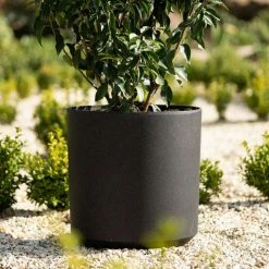 35cm Cylinder Planter In Black 11 35cm Cylinder Planter In Black -Plants outlet store PP83BLKM 1 7823