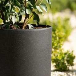 35cm Cylinder Planter In Black 12 35cm Cylinder Planter In Black -Plants outlet store PP83BLKM 2 04c6