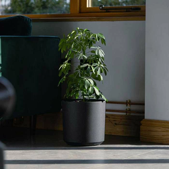 28cm Cylinder Planter In Black 4 28cm Cylinder Planter In Black - Image 2