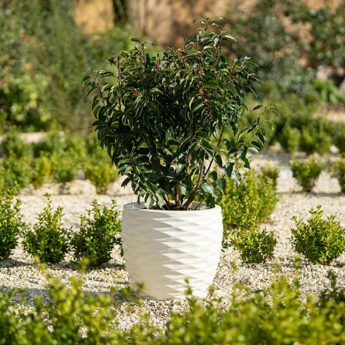 43cm Round Bilbao Planter In Ivory 3 43cm Round Bilbao Planter In Ivory