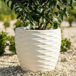 34cm Round Bilbao Planter In Ivory -Plants outlet store PP84WHTS 4 3c4d