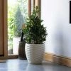 34cm Round Bilbao Planter In Ivory -Plants outlet store PP84WHTS 4ff8