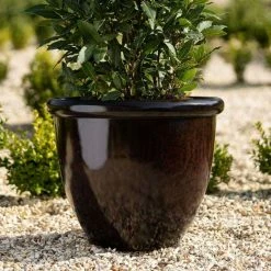 54cm Round Planter In Burgundy 11 54cm Round Planter In Burgundy -Plants outlet store PP85BLKM PP85BLKS 1 689c