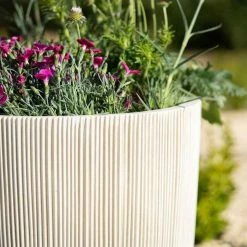 45cm Round Ridged Planter In White 9 45cm Round Ridged Planter In White -Plants outlet store PP86WHTM 1 e00c
