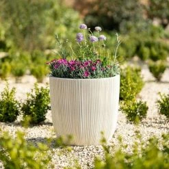 Plants outlet store -Plants outlet store PP86WHTM 8219