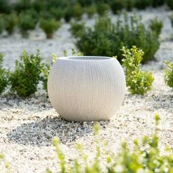 30cm Bowl Ridged Planter In Beige -Plants outlet store PP87BGES 2 c2c1
