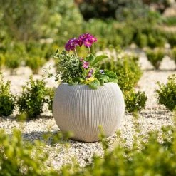30cm Bowl Ridged Planter In Beige -Plants outlet store PP87BGES 947a