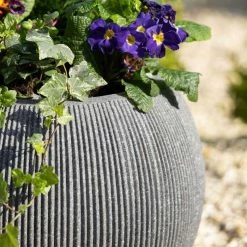 30cm Bowl Ridged Planter In Grey -Plants outlet store PP87GRYS 2 2657