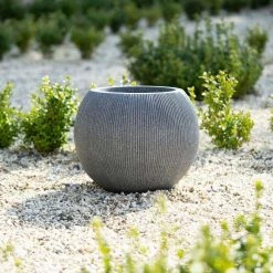 30cm Bowl Ridged Planter In Grey -Plants outlet store PP87GRYS 3 2232