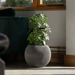 30cm Bowl Ridged Planter In Grey -Plants outlet store PP87GRYS 5 2bee