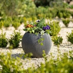 30cm Bowl Ridged Planter In Grey -Plants outlet store PP87GRYS 8a74